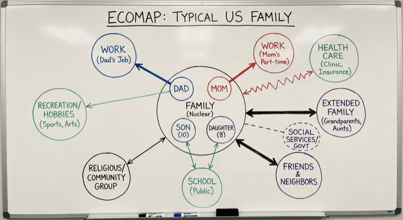 A completed ecomap reveals at a glance where support is strong, where stress is concentrated, and where gaps suggest intervention opportunities.